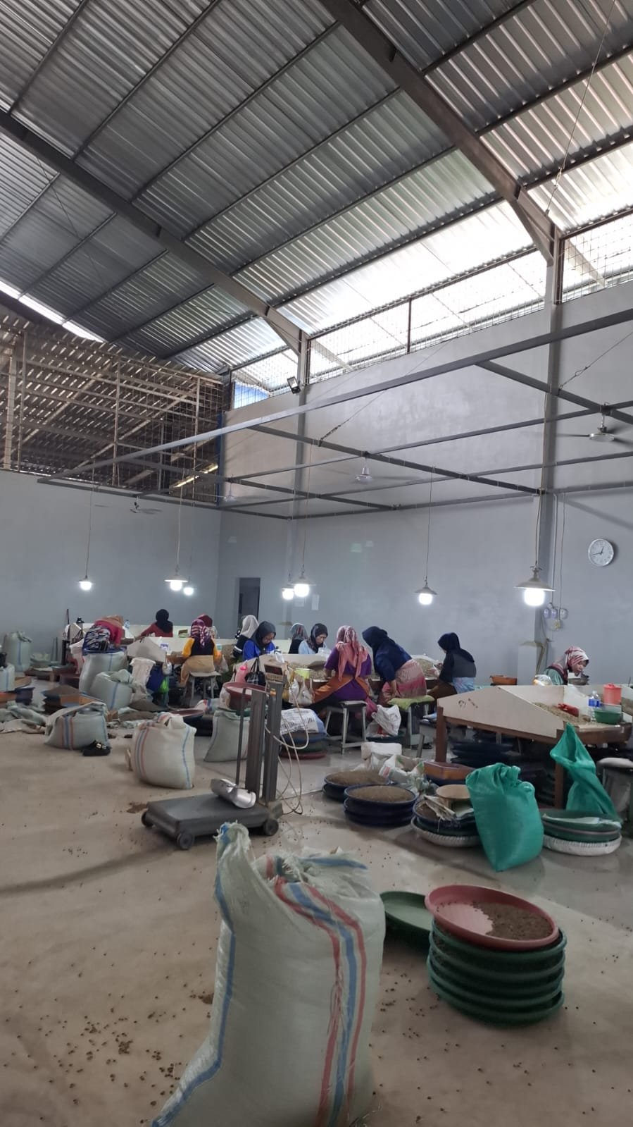 Areca Nut & Coffee Sorting and Drying Process